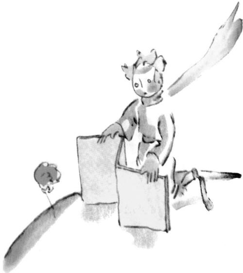 《小王子》插图